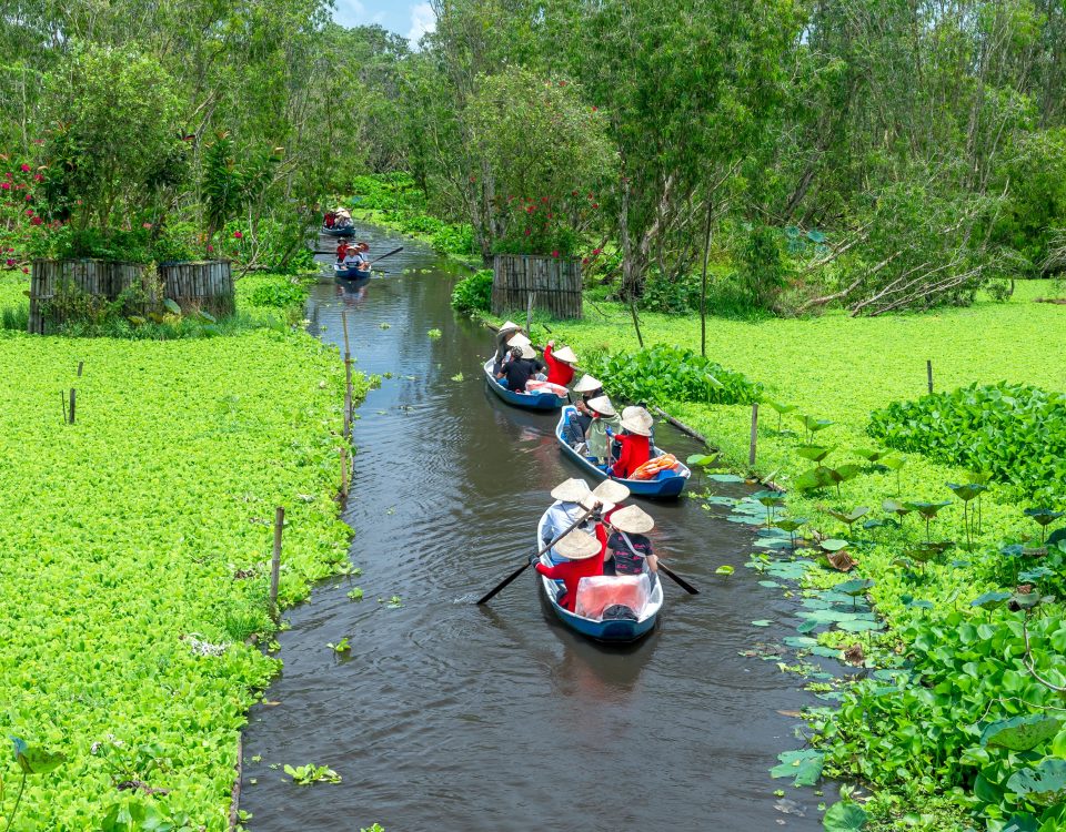 an giang