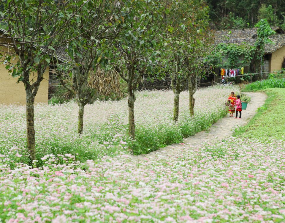 hà giang