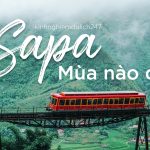 sapa