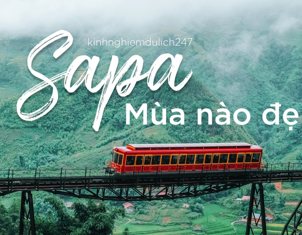 sapa
