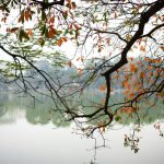 hồ hoàn kiếm hà nội