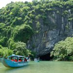 phong nha