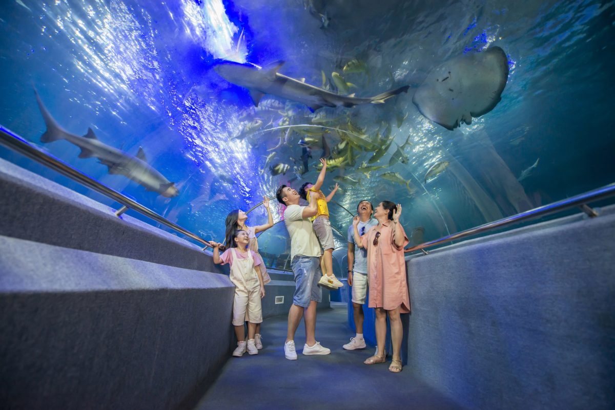 vinwonders nha trang